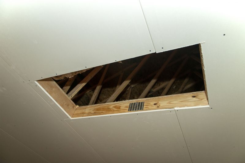 Attic Water Damage Repair in Denver, CO