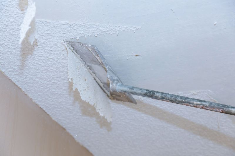 Ceiling Removal Service in Littleton, CO