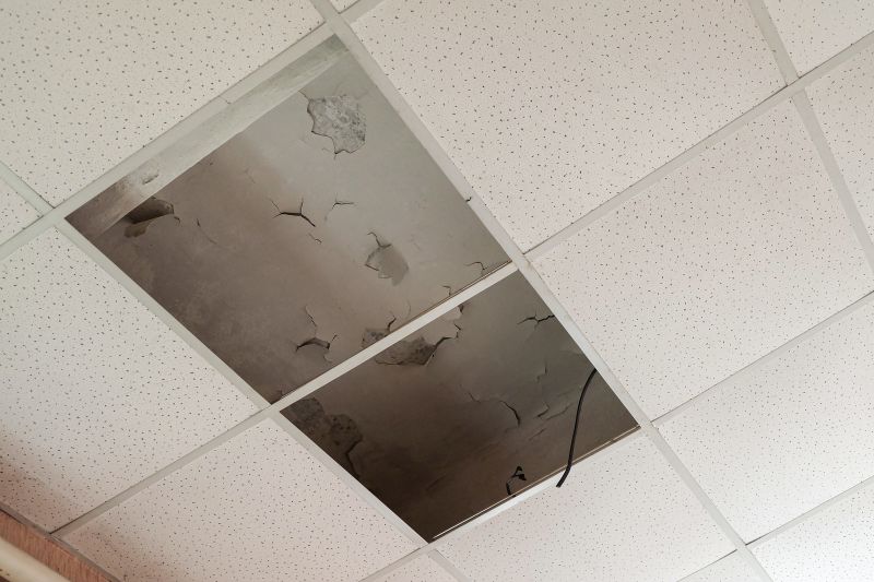Ceiling Removal Service in Alpharetta, GA
