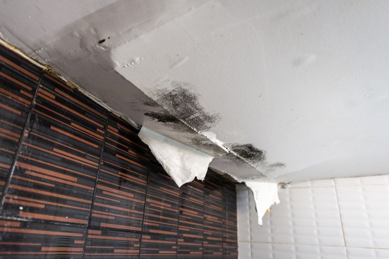 Leaking Ceiling Repair in Conroe, TX