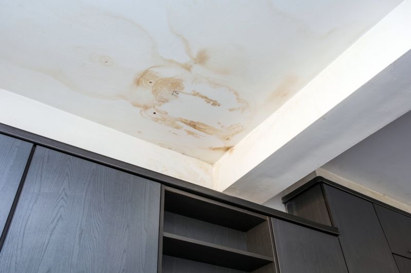 Water Damage Ceiling Repair in Alpharetta, GA