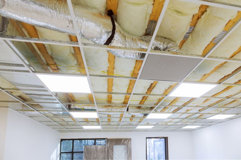 Ceiling Removal Service in Charleston, SC