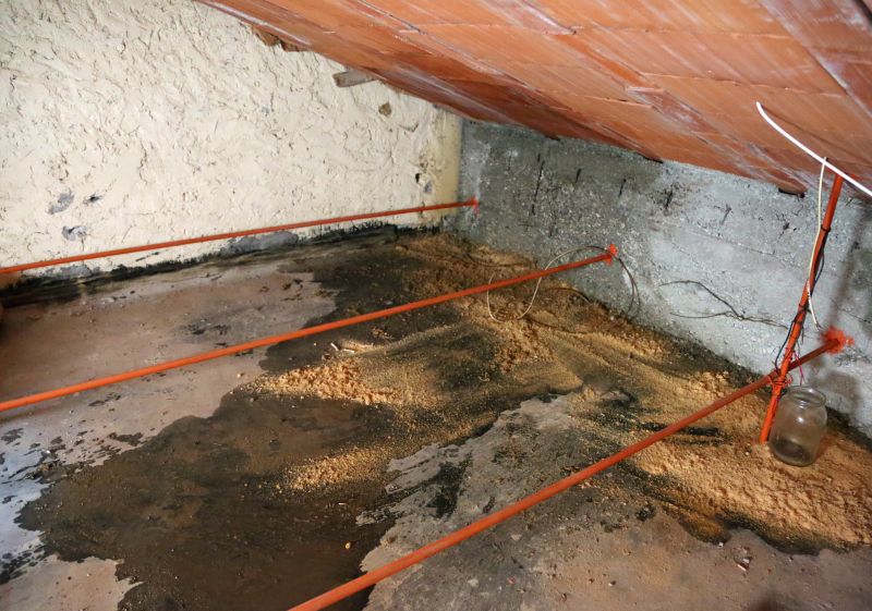 Leaking Ceiling Repair in Denver County, CO
