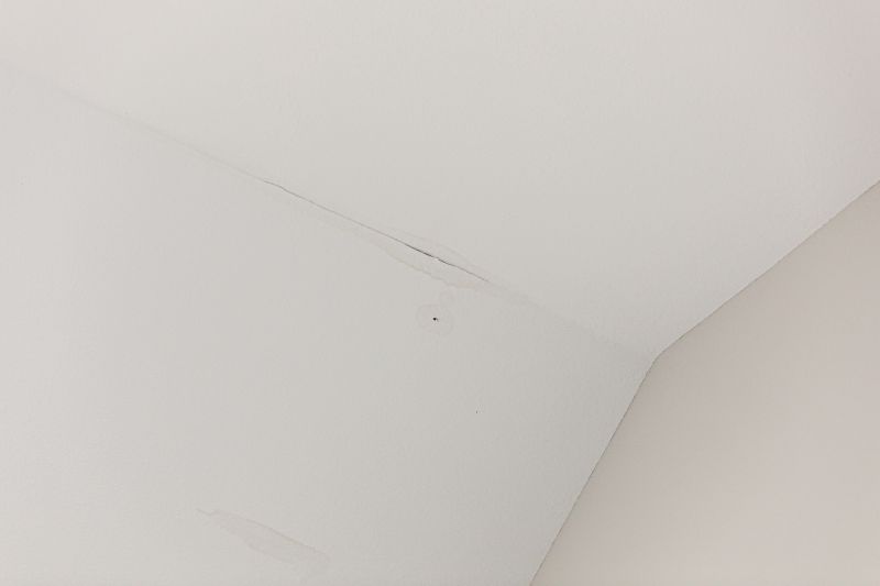 Leaking Ceiling Repair in Houston, TX