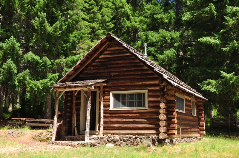 Log Home Repair in Alpharetta, GA